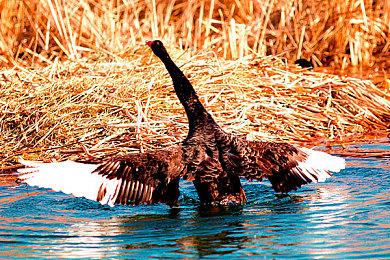 没有体力限制 没有抽卡的二游！《二重螺旋》10月28日公测