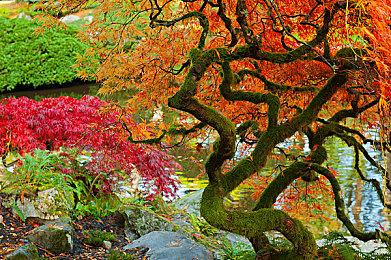 PS5版《伊苏9：怪人之夜》欧美发行日公布